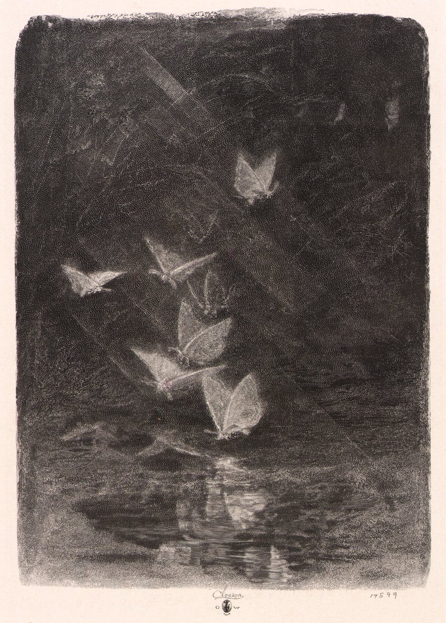 Nocne ćmy autorstwa William Baxter Closson
