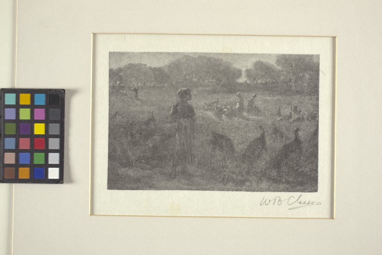 Pastwisko dla indyków (drzeworyt) autorstwa William Baxter Palmer Closson