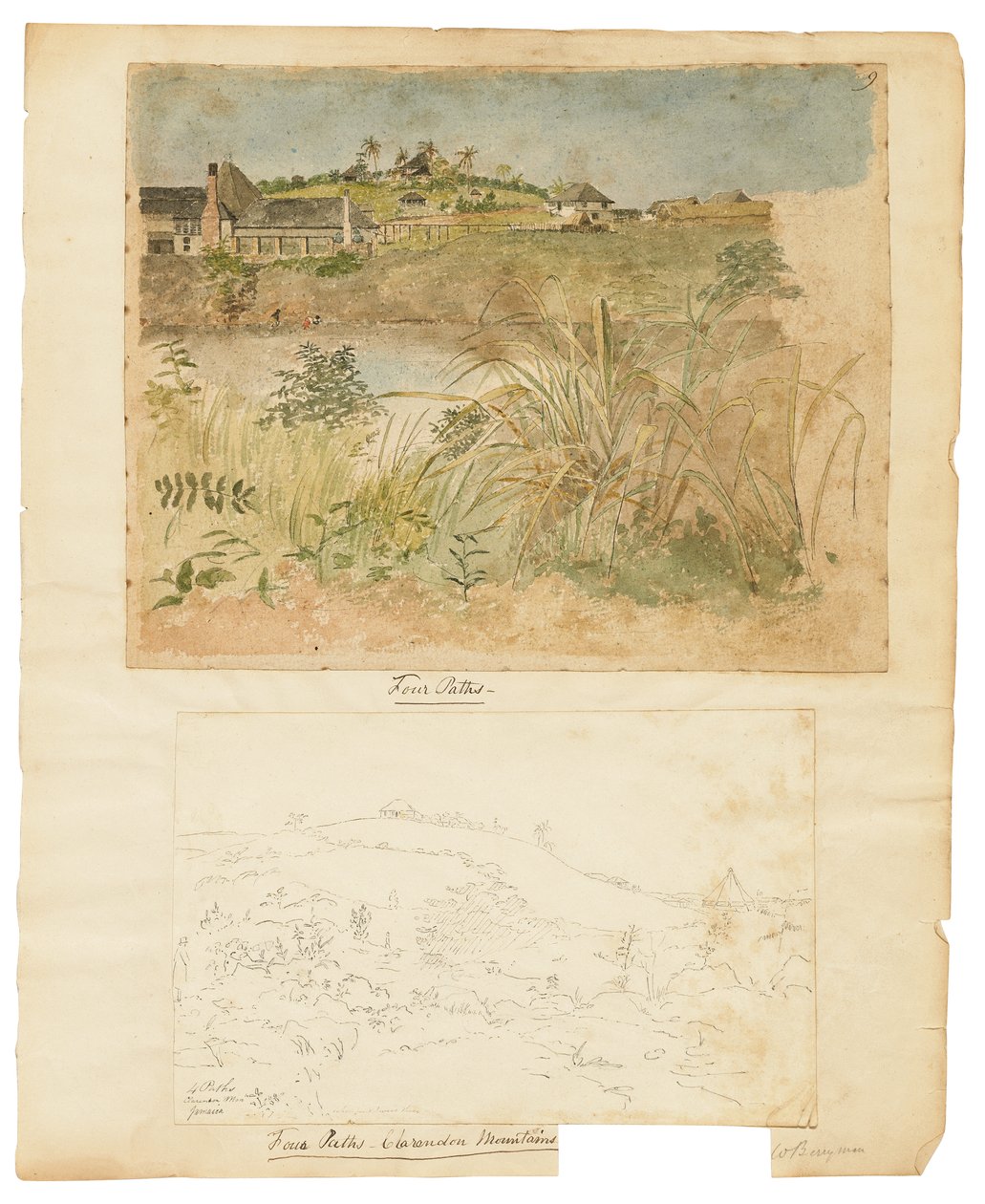 Cztery ścieżki, góry Clarendon, Jamajka autorstwa William Berryman