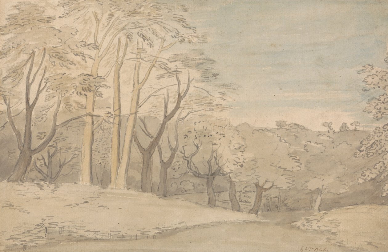 Krajobraz leśny autorstwa William Blake