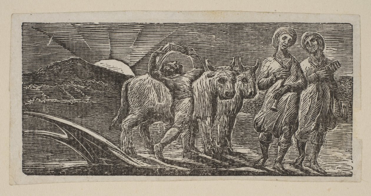 Chłopiec powracający radośnie, z pługiem i wołami, z Thorntons Pastorals of Virgil, 1821. autorstwa William Blake