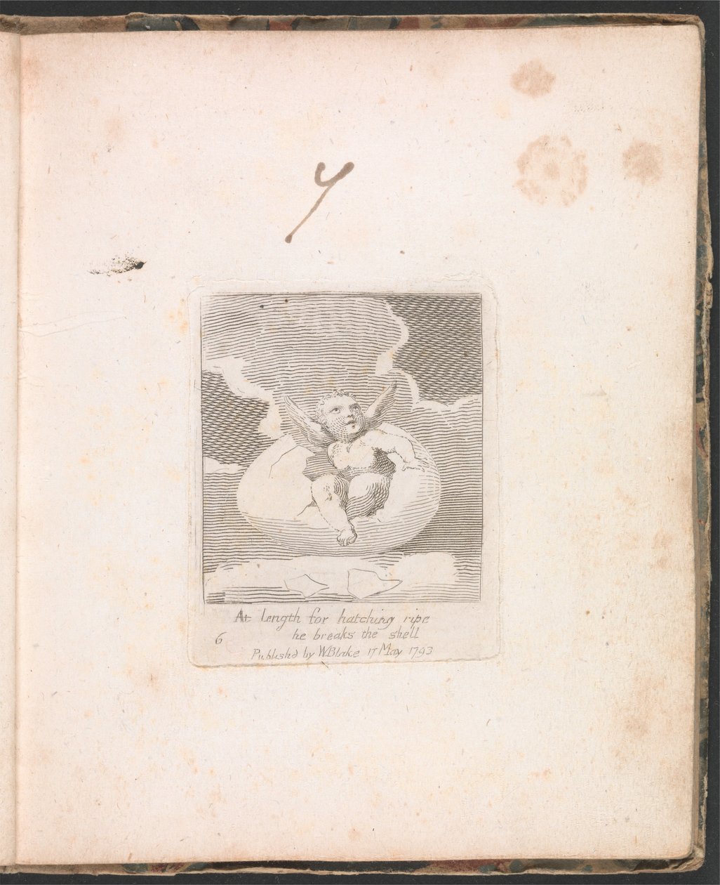 Dla dzieci. Bramy raju, tablica 8, W końcu do wylęgu dojrzałego łamie skorupę autorstwa William Blake