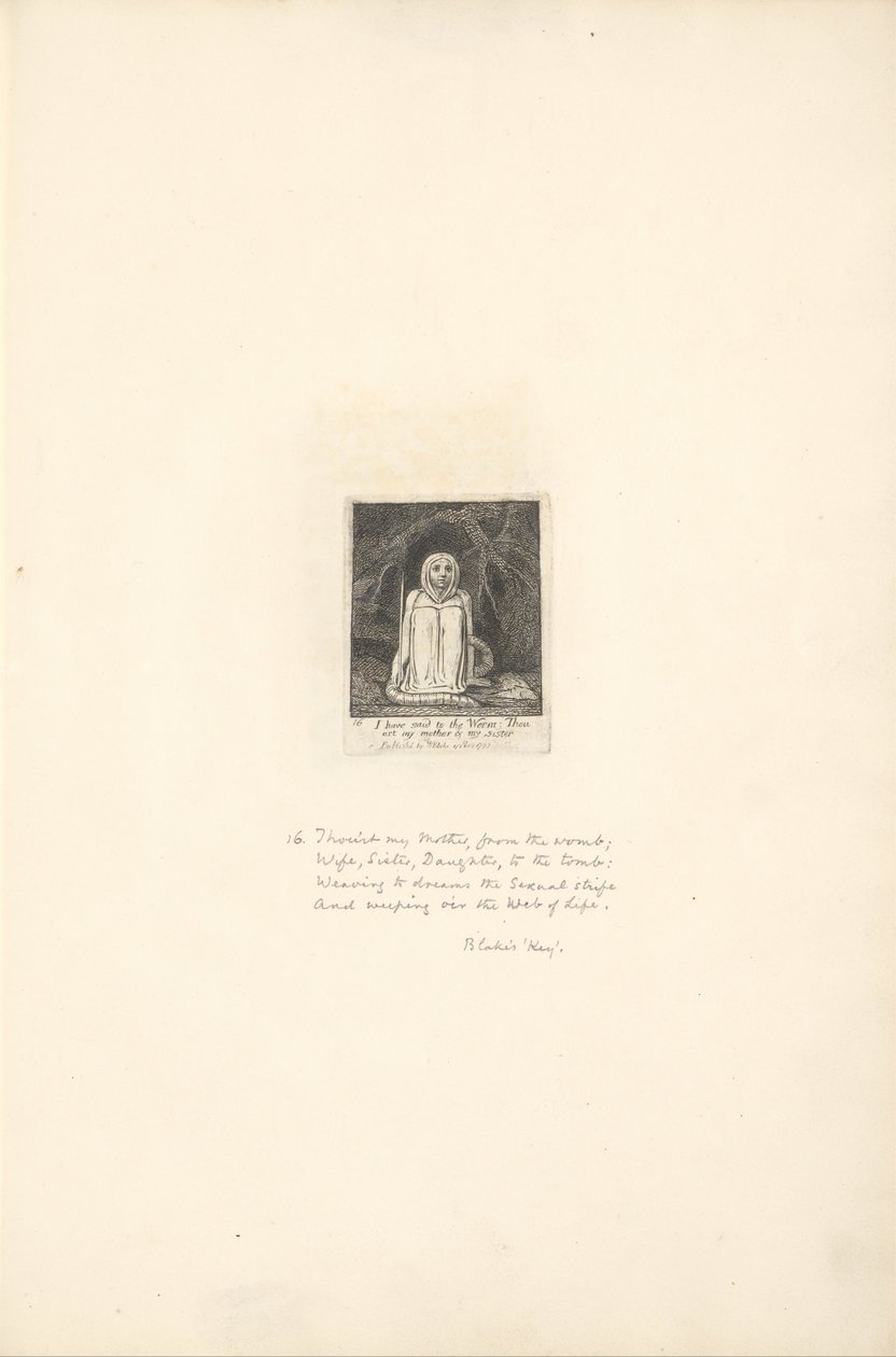 Dla płci - Bramy raju, płyta 18, powiedziałem Robakowi. . . . autorstwa William Blake