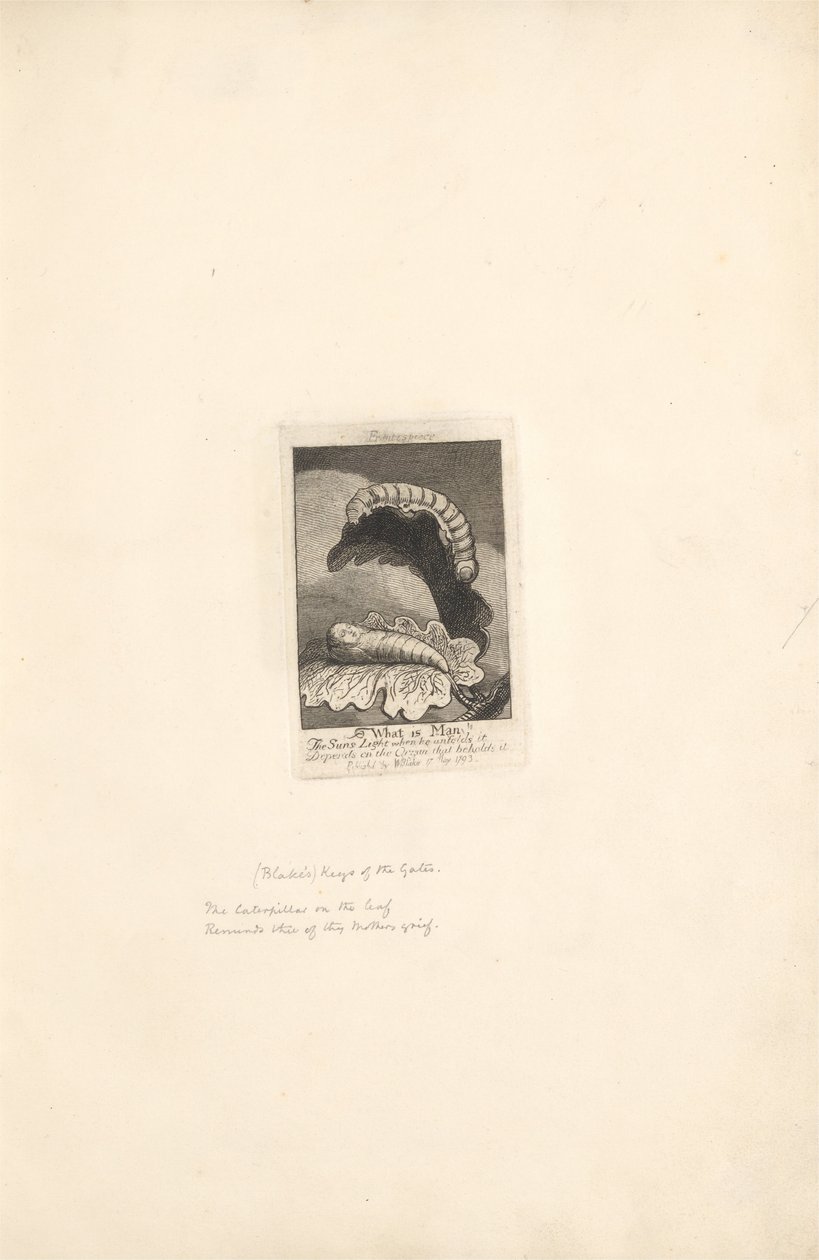 Dla płci - Bramy raju, płyta 1, strona tytułowa autorstwa William Blake