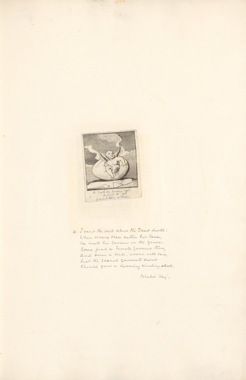 Dla płci - Bramy raju, Płyta 8, Na długość do wylęgania dojrzałych on łamie skorupę autorstwa William Blake