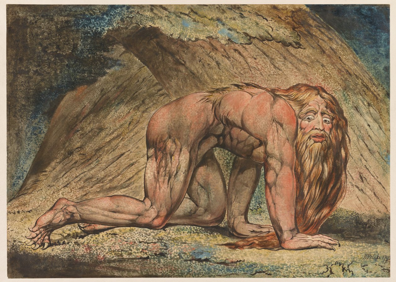 Nabuchodonozor, 1795 (tempera, pióro i atrament i toaleta na papierze) autorstwa William Blake