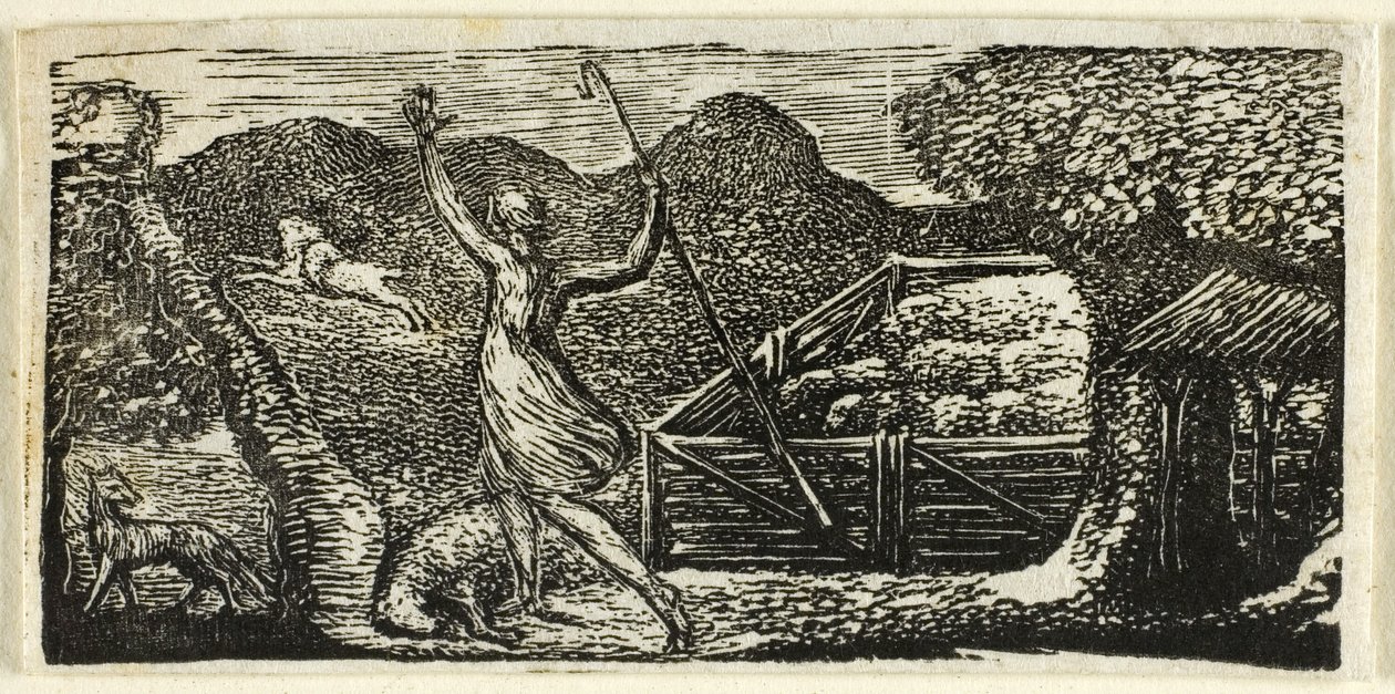 Pasterz odpędza wilka, z Pastorals of Virgil autorstwa William Blake
