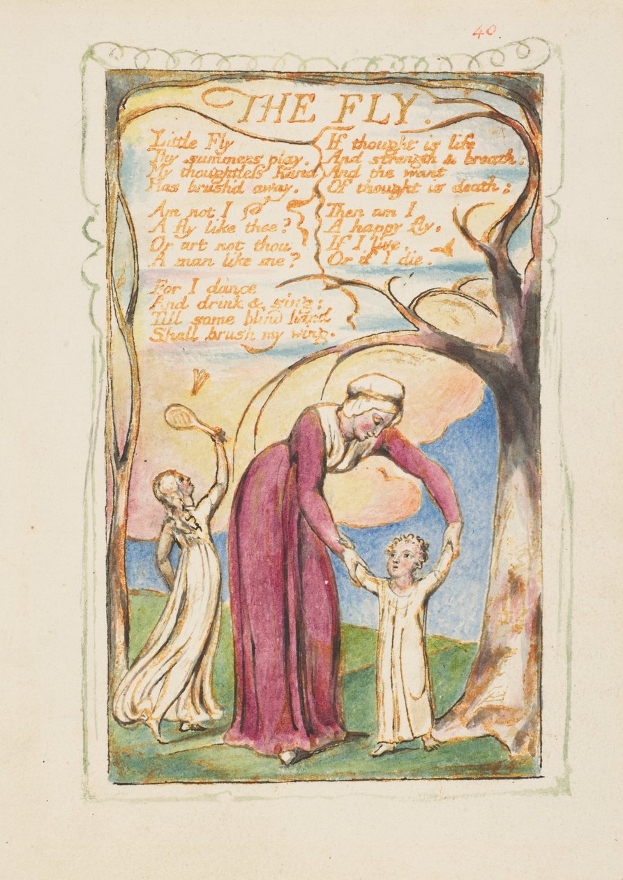 Lieder der Erfahrung: Die Fliege autorstwa William Blake