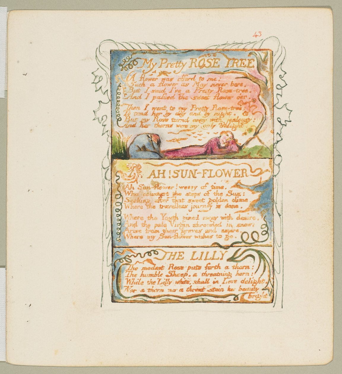 Pieśni niewinności i doświadczenia: Moje śliczne różane drzewo, Ach! Słonecznik, Lilia, ca. 1825. autorstwa William Blake