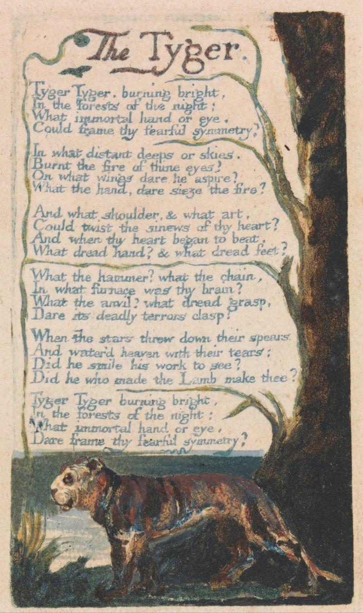 Pieśni niewinności i doświadczenia, płyta 42, Tygrys (Bentley 42) autorstwa William Blake