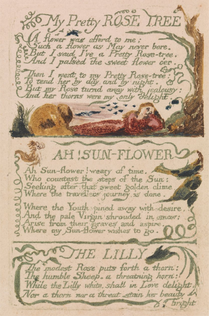 Pieśni niewinności i doświadczenia, płyta 47, „My Pretty Rose Tree” (Bentley 43) autorstwa William Blake
