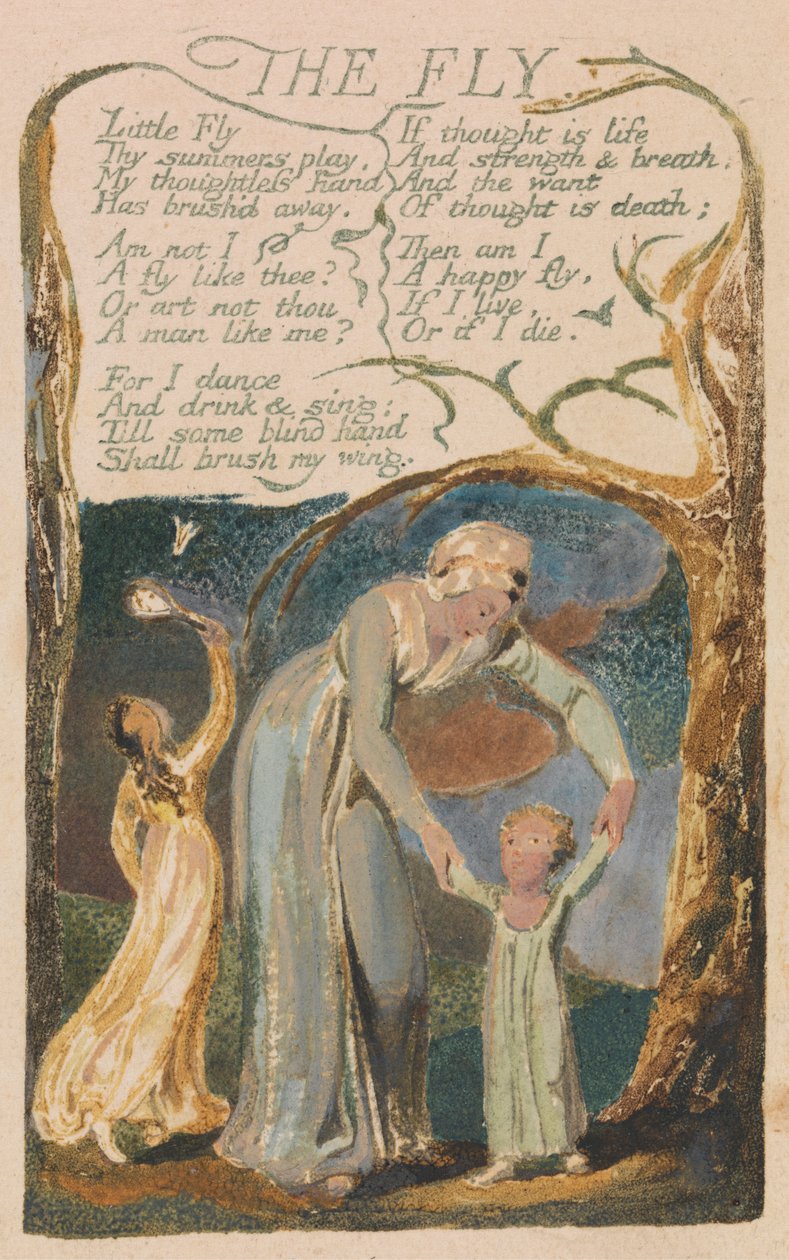 Pieśni niewinności i doświadczenia, płyta 48, „The Fly” (Bentley 40) autorstwa William Blake