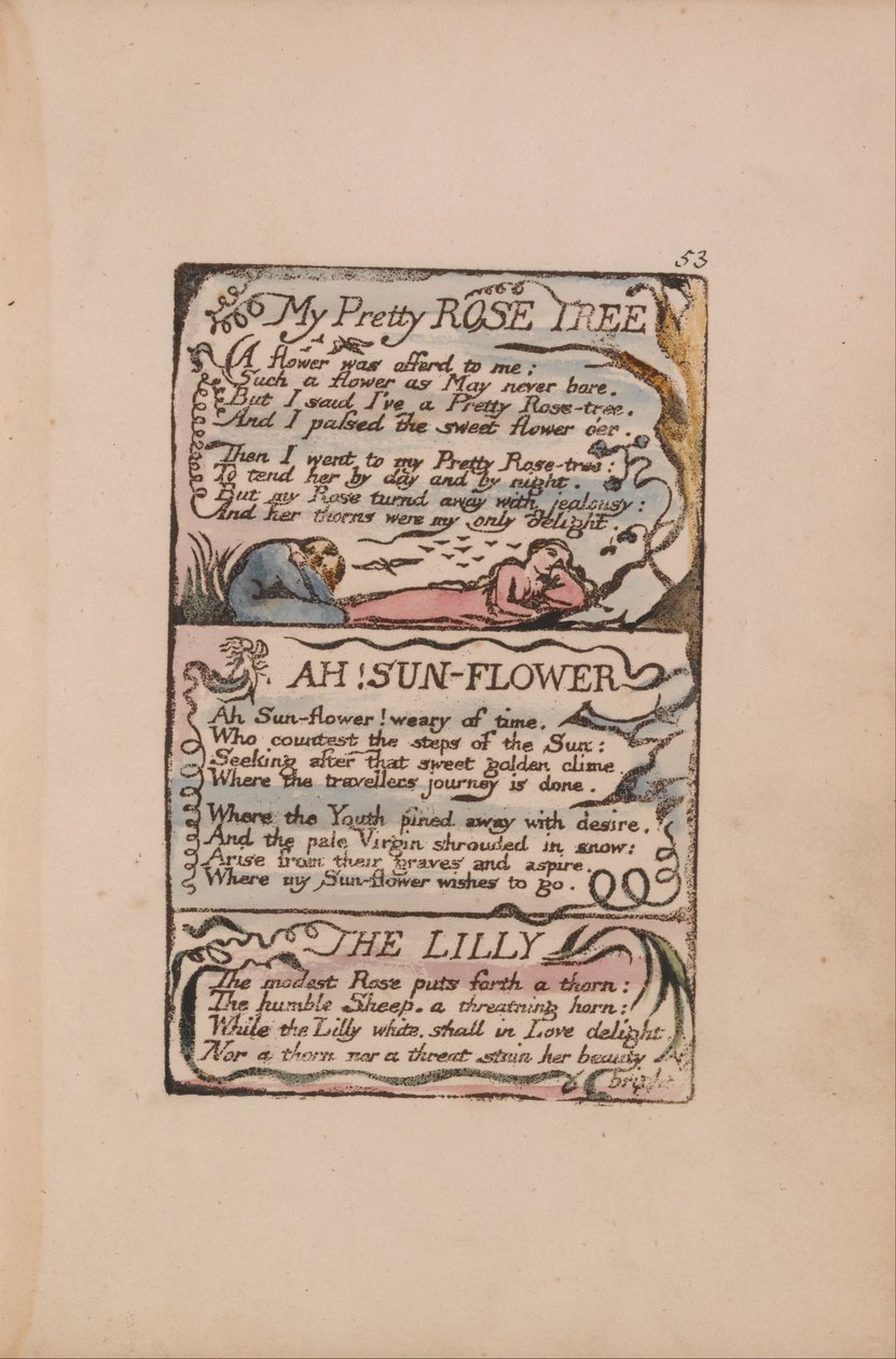 Pieśni o niewinności i doświadczeniu, płyta 53, Moje śliczne różane drzewo, Ach! Słonecznik, Lilly autorstwa William Blake