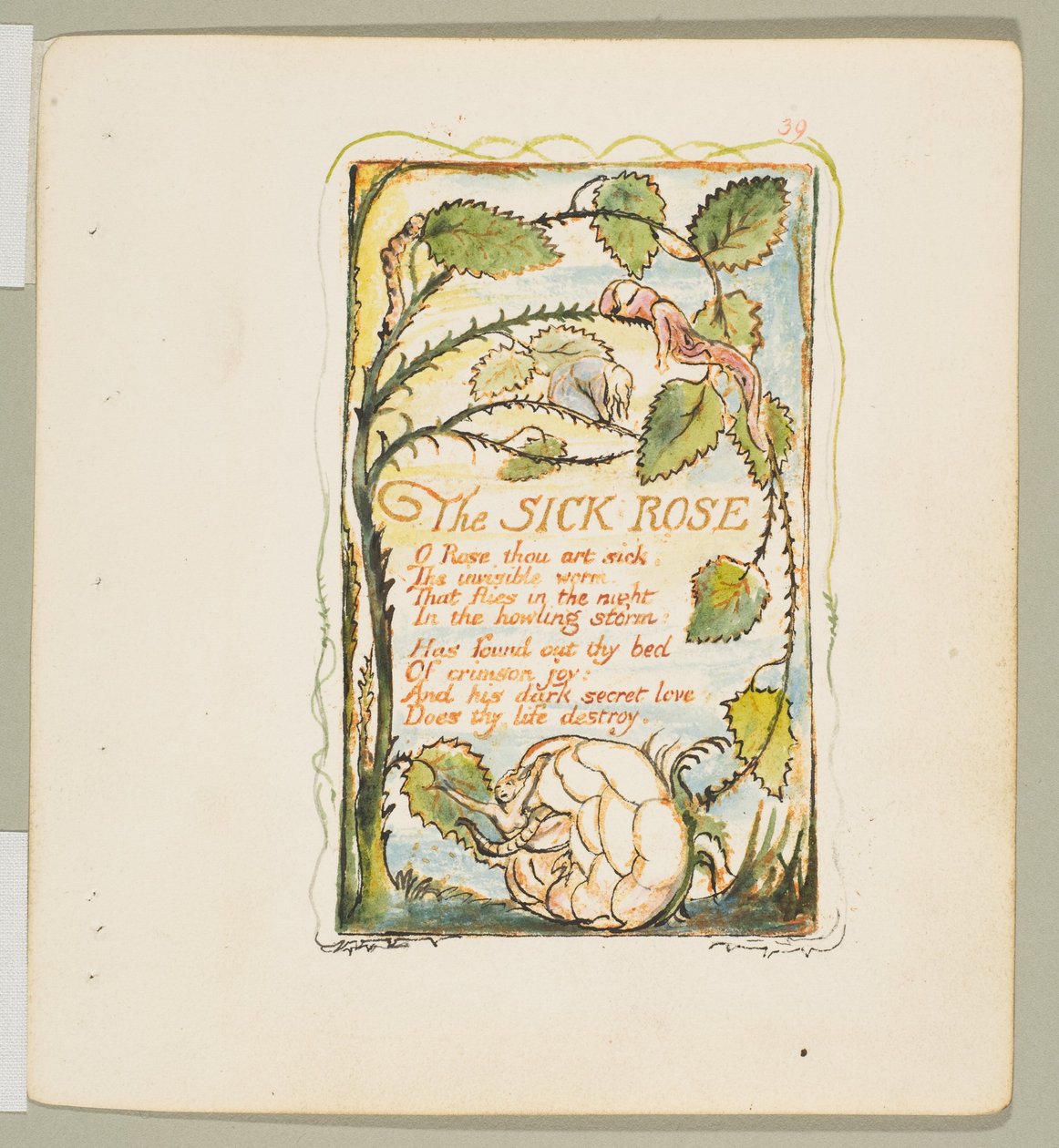 Pieśni niewinności i doświadczenia: Chora róża, ca. 1825. autorstwa William Blake
