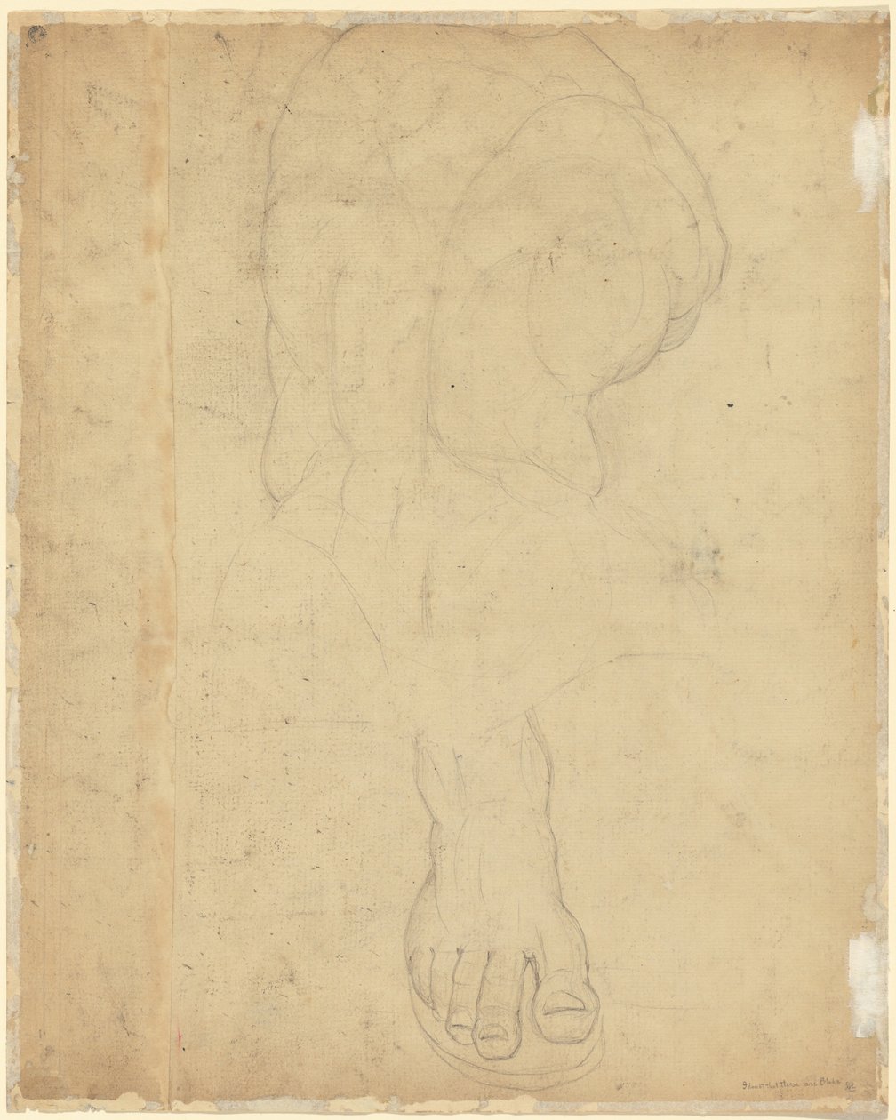 Tułów Belwederu [verso] autorstwa William Blake
