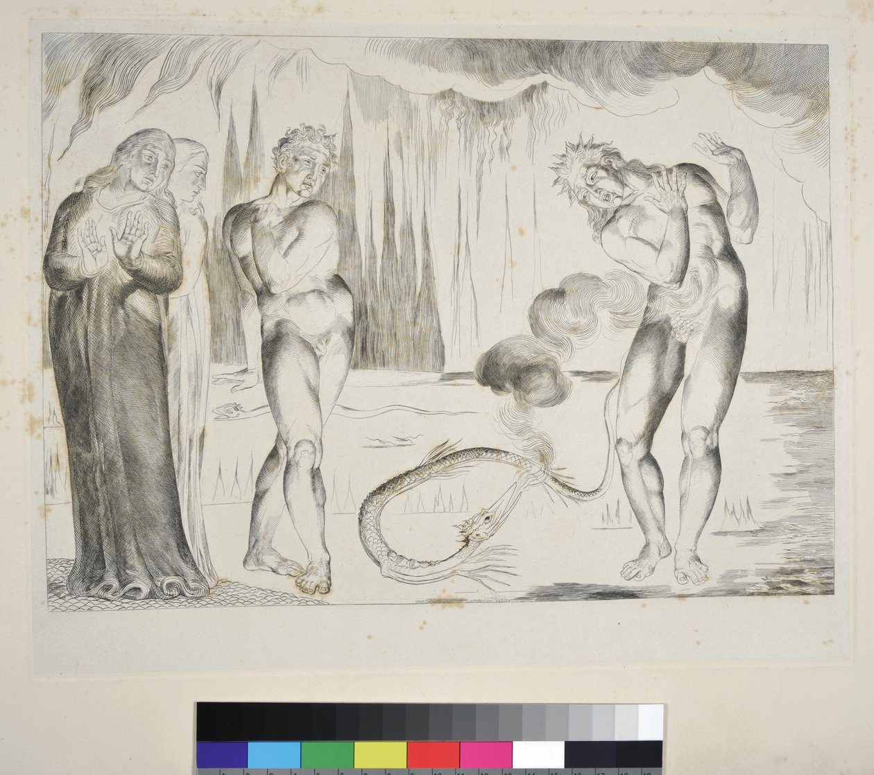 Krąg złodziei: Buoso Donati zaatakowany przez węża, Inferno, Canto XXV, ilustracja do „Boskiej komedii” Dantego Alighieri, c.1827-38 (rycina) autorstwa William Blake
