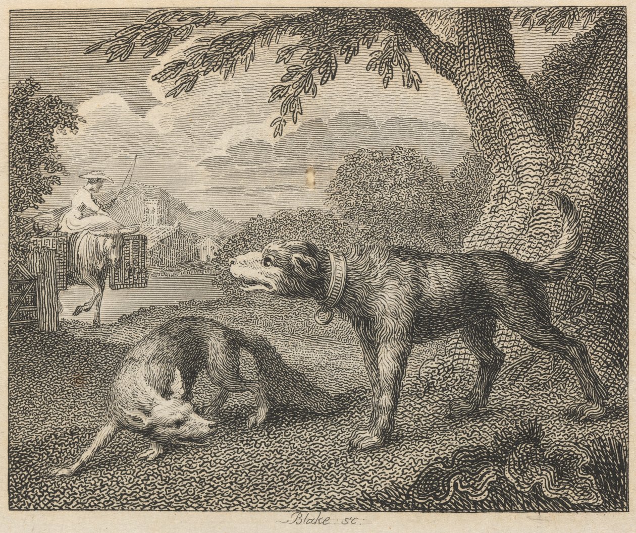 Pies i Lis autorstwa William Blake