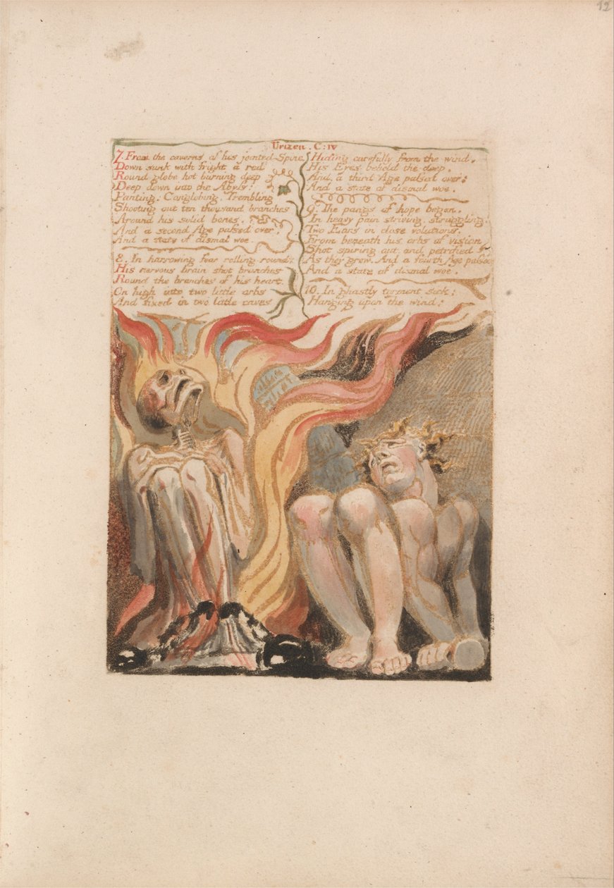 Pierwsza Księga Urizena, Tablica 14, 7. Z Jaskiń Jego Przegubowego Kręgosłupa.... (Bentley 11) autorstwa William Blake