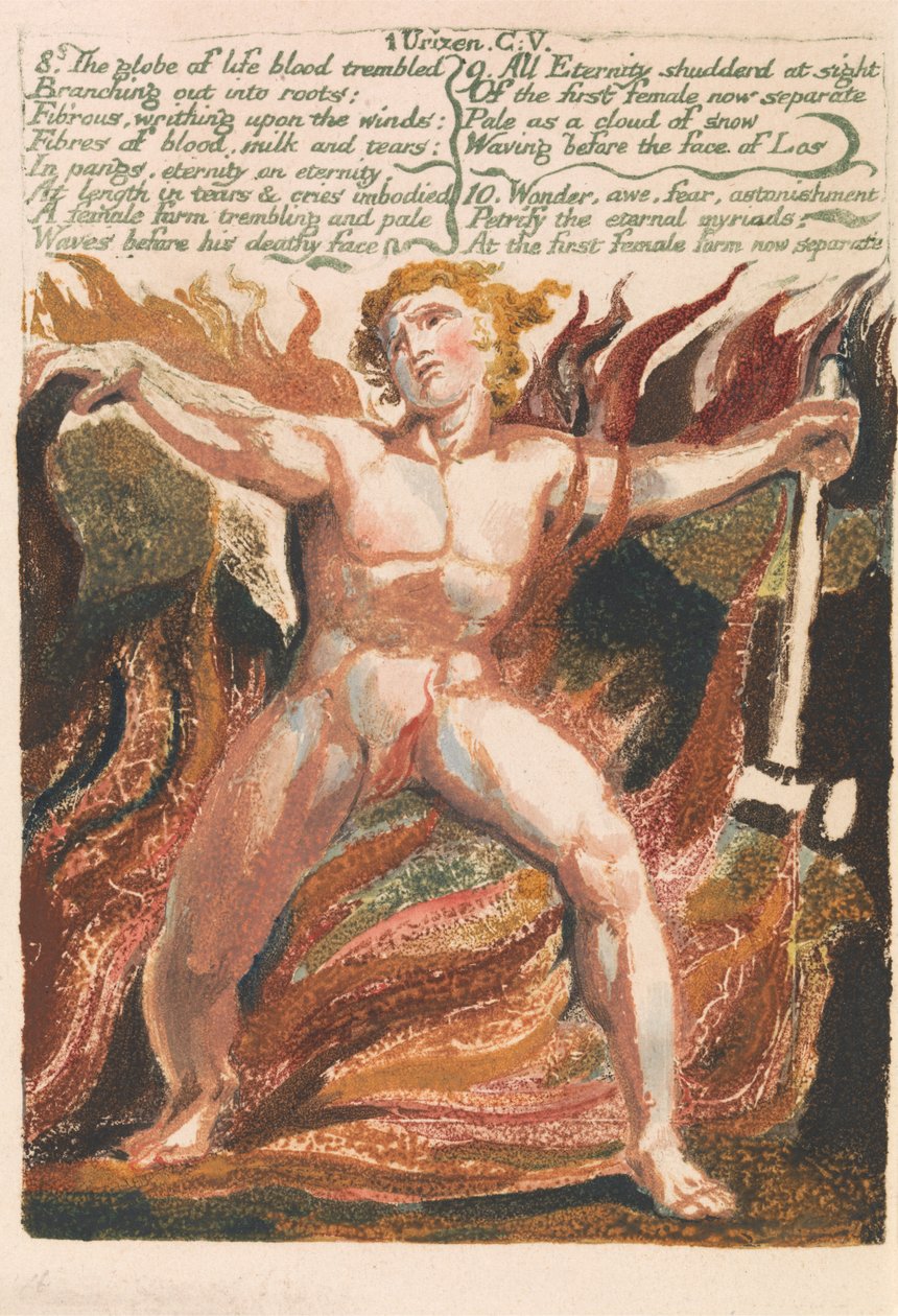Pierwsza Księga Urizena, tablica 15, „8. Kula życia, krew zadrżała…” (Bentleya 18) autorstwa William Blake