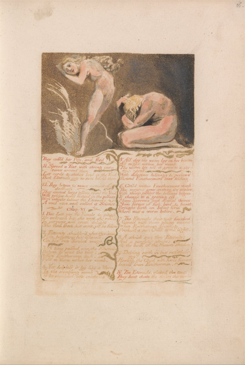 Pierwsza Księga Urizena, Tablica 19, Nazwali ją litością i uciekli... (Bentley 19) autorstwa William Blake