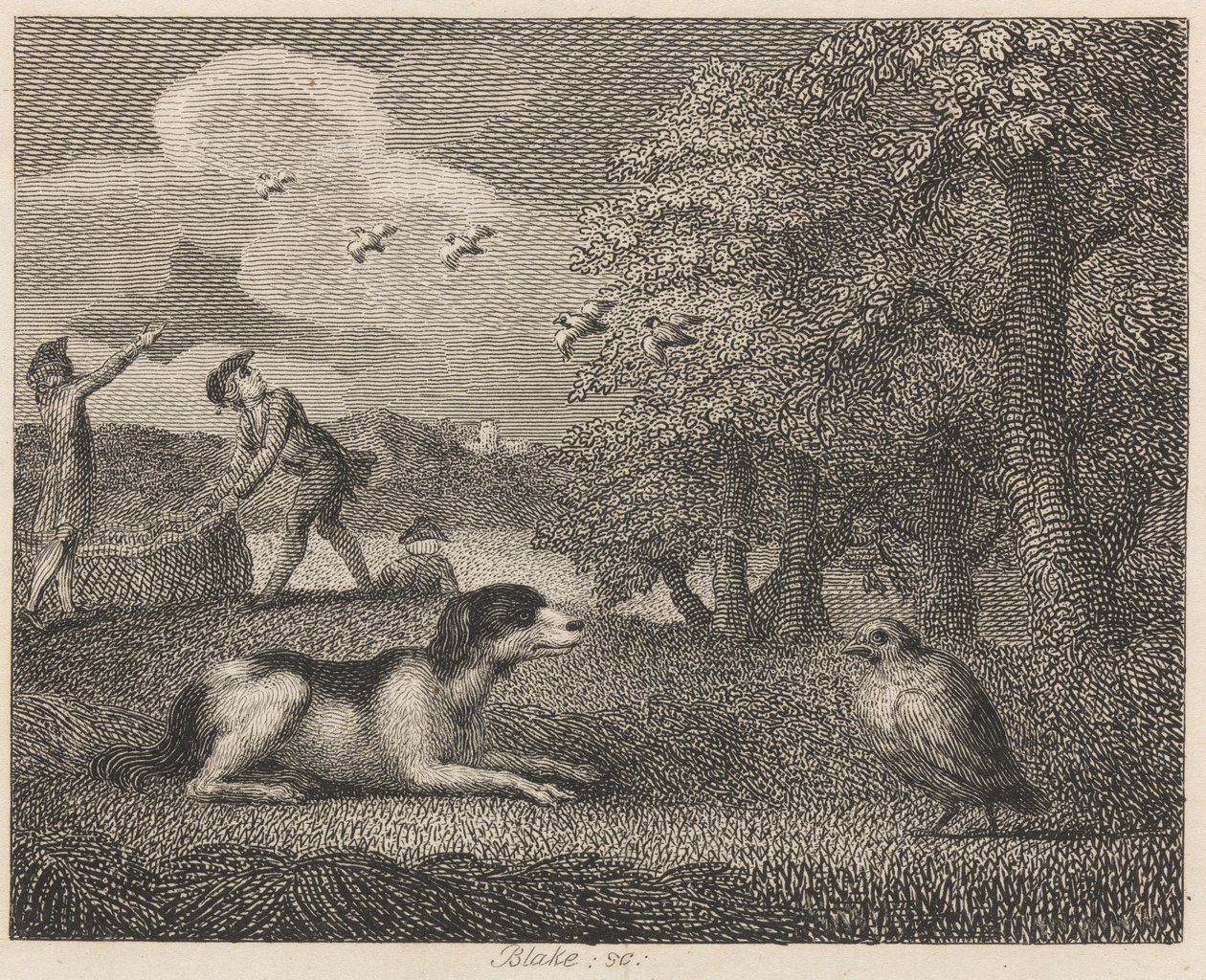 Pies zastawiający i kuropatwa autorstwa William Blake