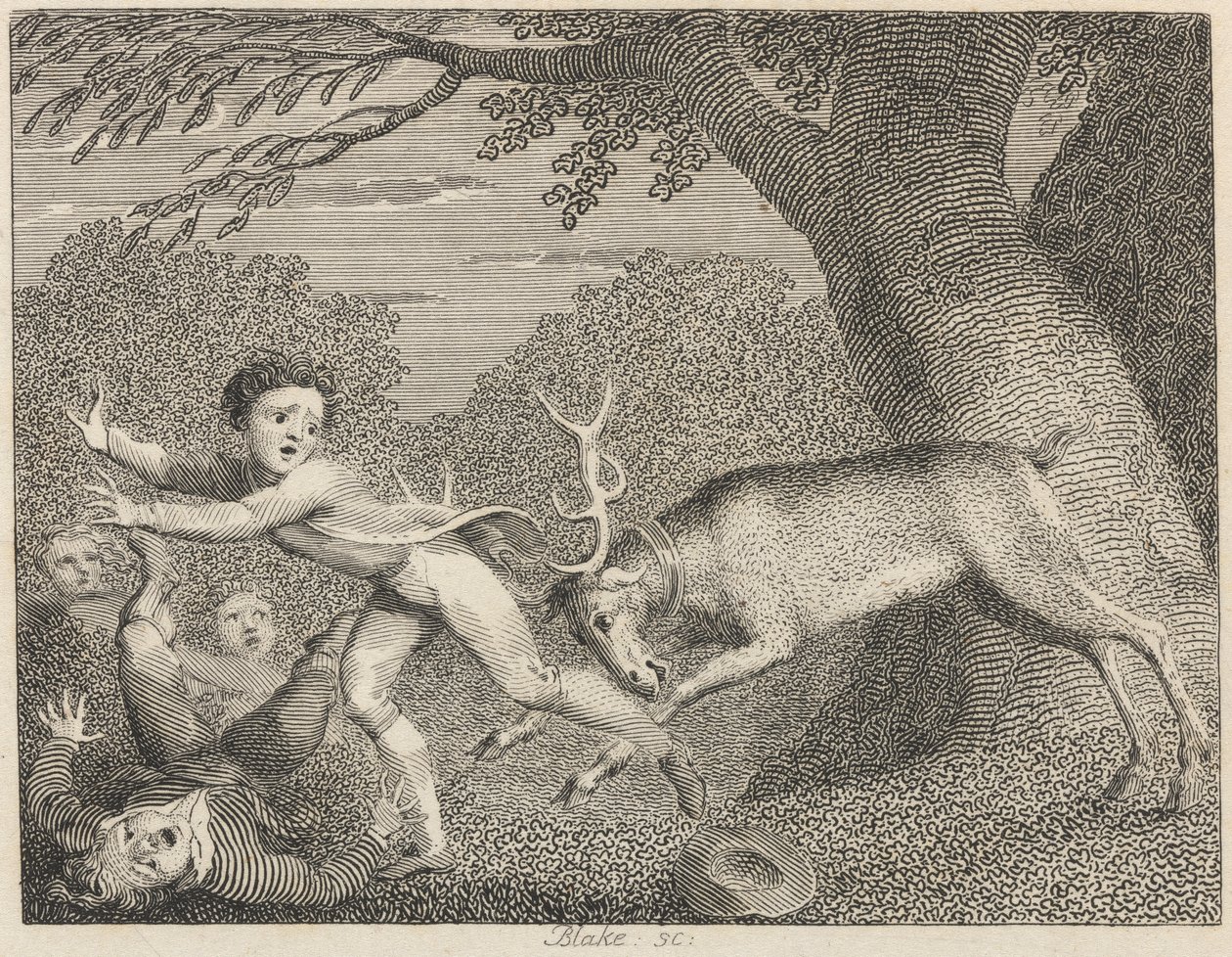 Oswojony Jeleń autorstwa William Blake