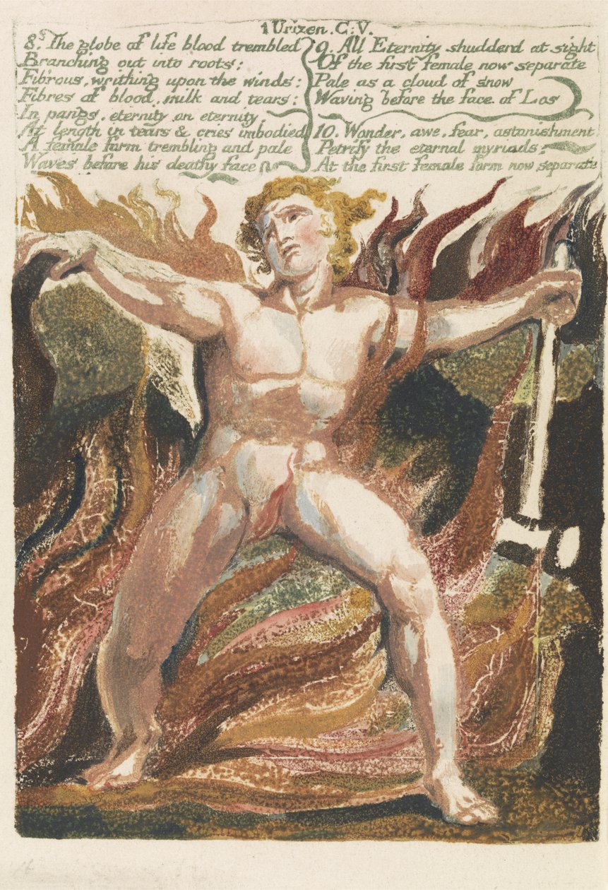 "Kwiat życia zadrżał...", płyta 17 z "Pierwszej Księgi Urizena" autorstwa William Blake
