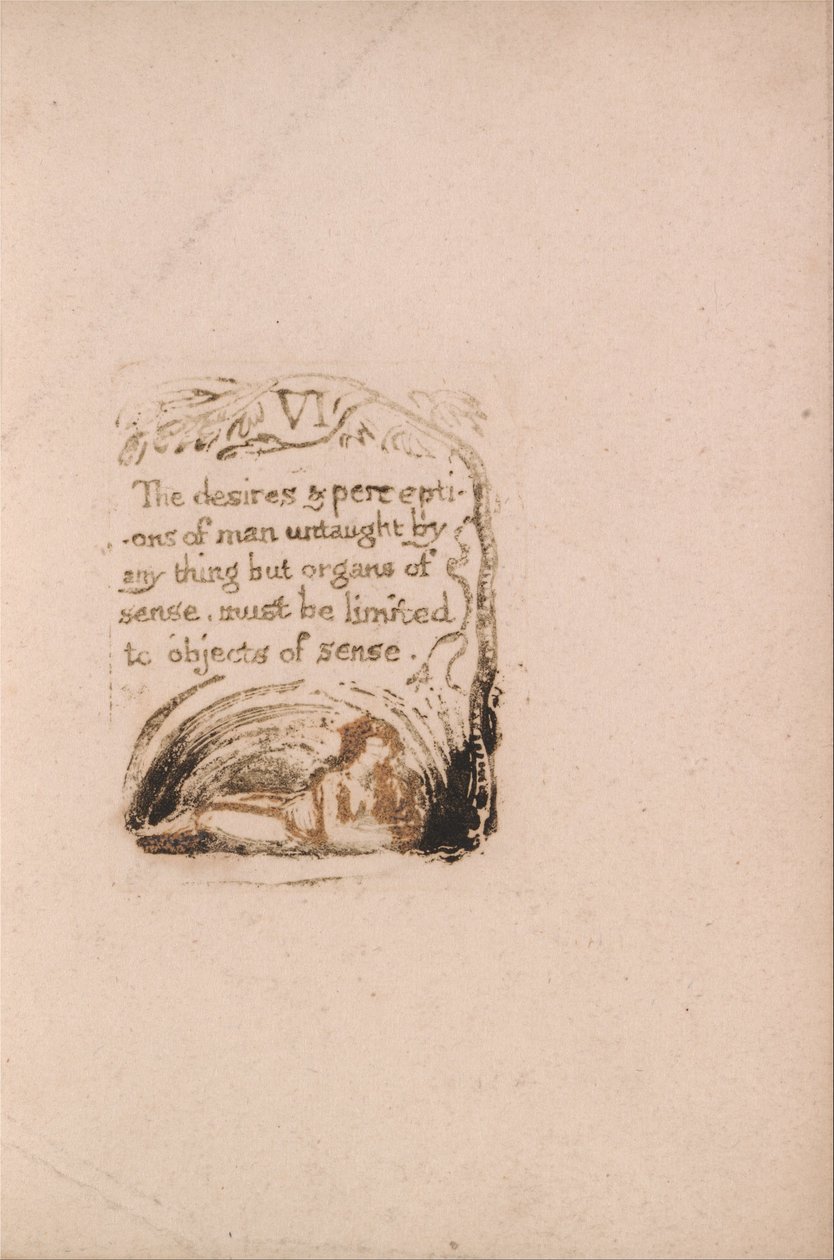 Nie ma religii naturalnej, Tablica 8, VI Pragnienia i percepcje . . . . (Bentley a9) autorstwa William Blake