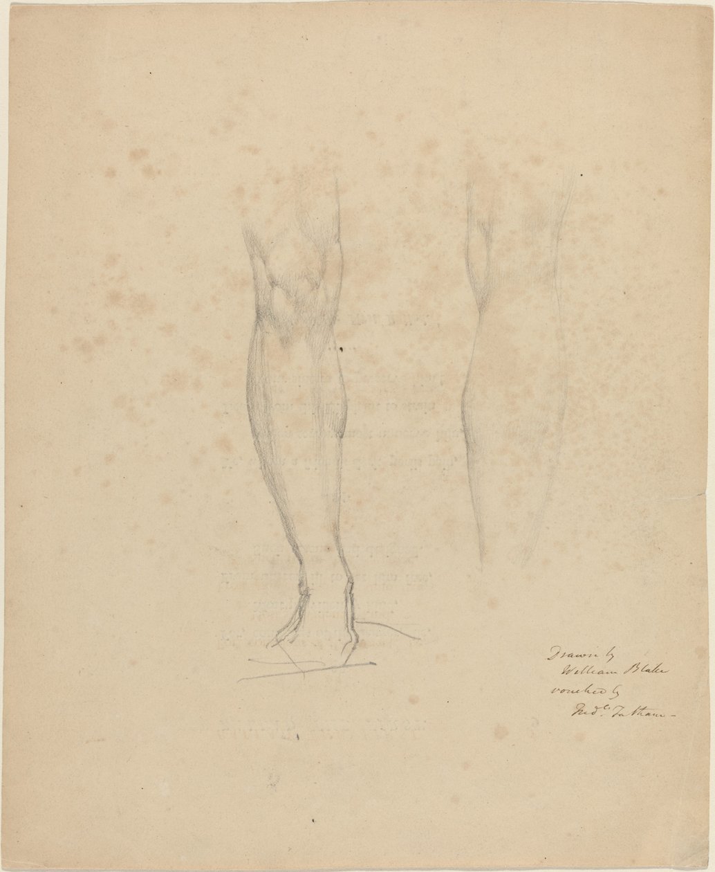 Dwie nogi autorstwa William Blake
