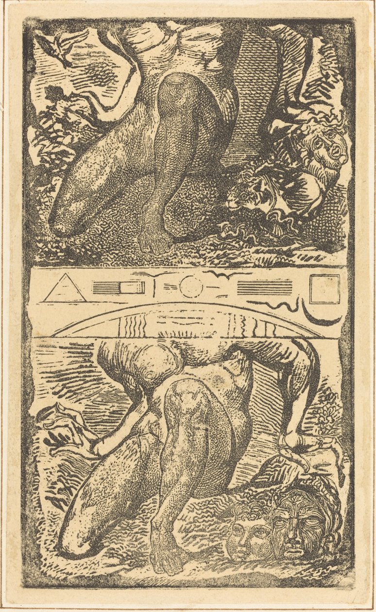 Nieznany temat (Niech spojrzy w niebo i śmieje się w jasnym powietrzu) autorstwa William Blake