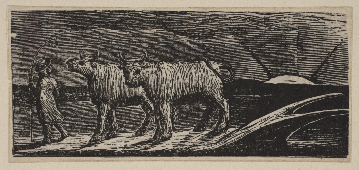 Jałówki Unyokd, Loitering Homeward, z Thorntons Pastorals of Virgil, 1821. autorstwa William Blake