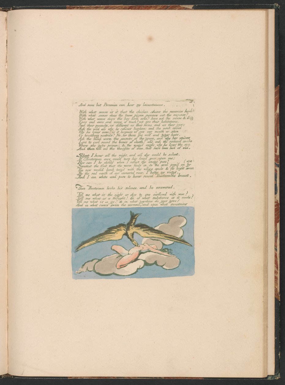 Wizje Cór Albionu, Tablica 6, I tylko Bromian . . . . autorstwa William Blake
