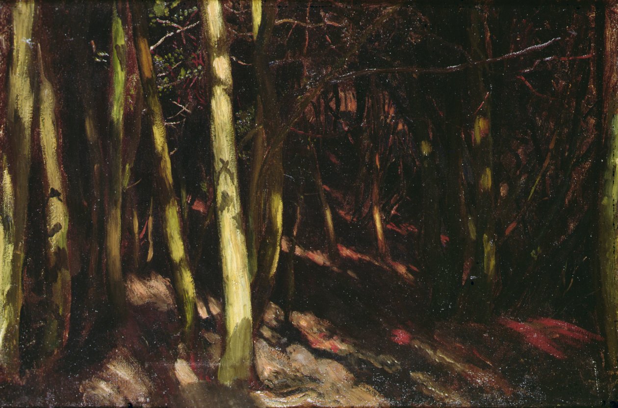 Drzewa, ok. 1890 (olej na pokładzie) autorstwa William Blake Richmond