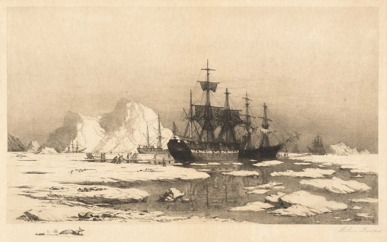 Wśród kry lodowej autorstwa William Bradford