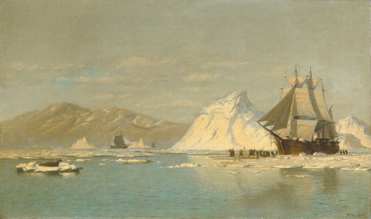 U wybrzeży Grenlandii — wielorybnik w poszukiwaniu otwartych wód. autorstwa William Bradford