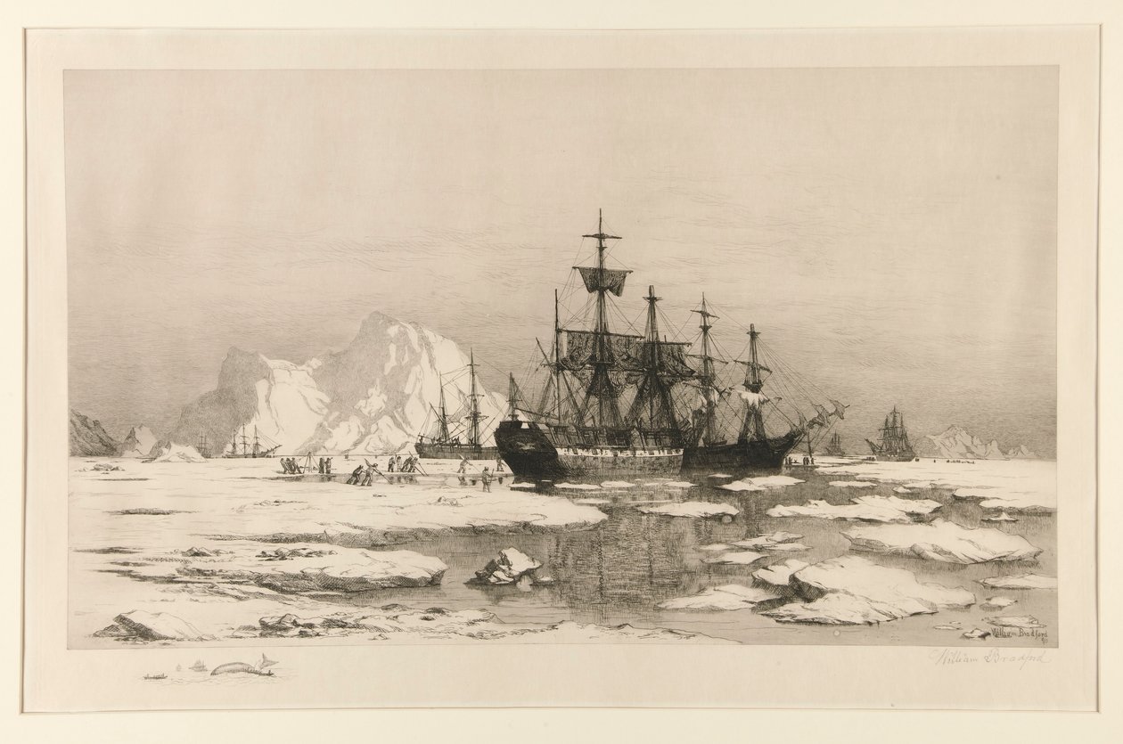 Uszczelniacze w Arktyce, po obrazie: Wśród kry lodowej, 1875 autorstwa William Bradford