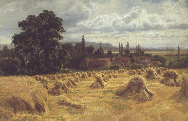 Pole kukurydzy w pobliżu Cookham (olej) autorstwa William Bradley