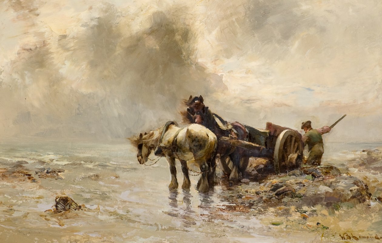 Carting Wodorosty (olej na płótnie) autorstwa William Bradley Lamond