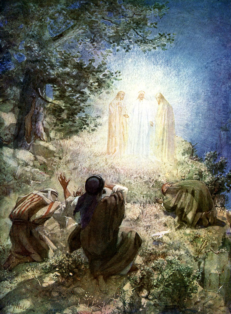 Przemienienie Jezusa - Biblia autorstwa William Brassey Hole