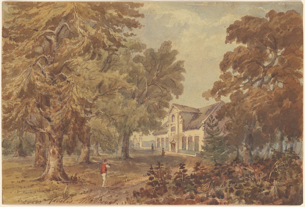 Cloetis autorstwa William Brenton Boggs