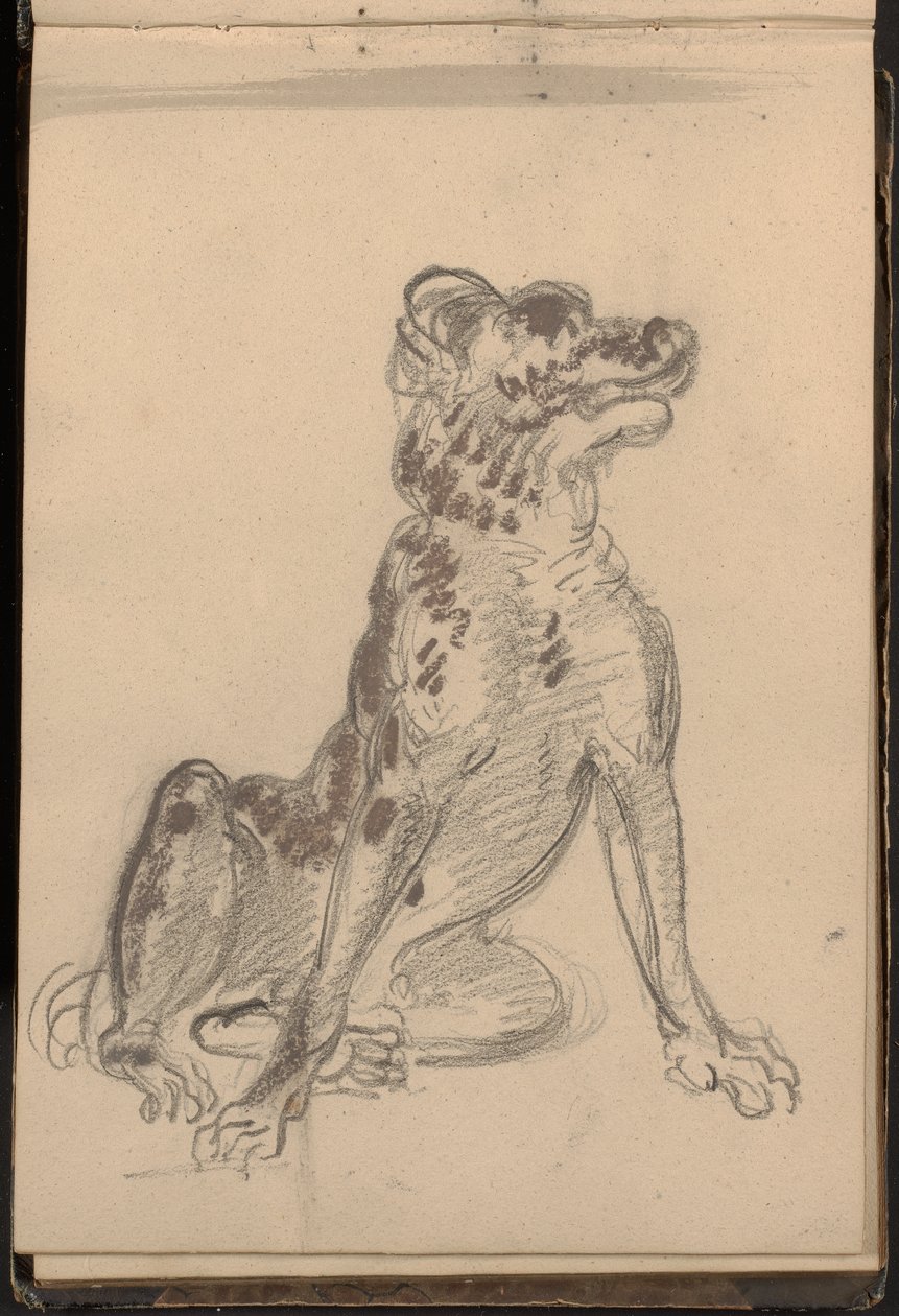 Portret psa autorstwa William Brockedon