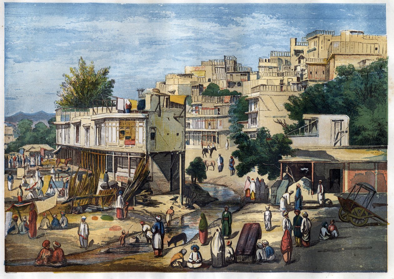 Widok na Peszawar, Pakistan autorstwa William Carpenter