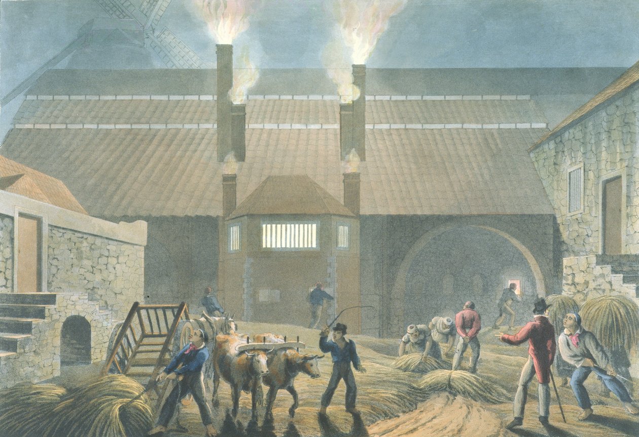 Zewnętrzna część kotłowni, z „Dziesięć widoków na wyspie Antigua”, 1823 autorstwa William Clark