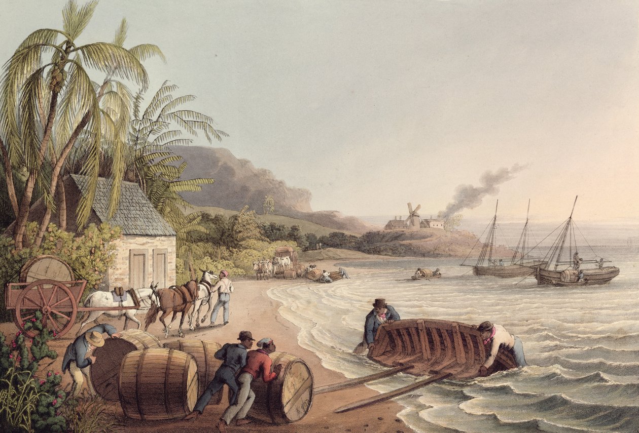Ładowanie beczek rumu i cukru, Antigua autorstwa William Clark