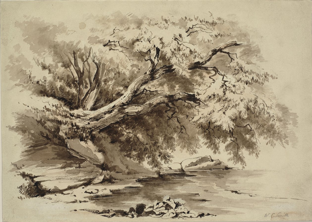 Krajobraz z drzewami zwisającymi nad jeziorem autorstwa William Collingwood Smith