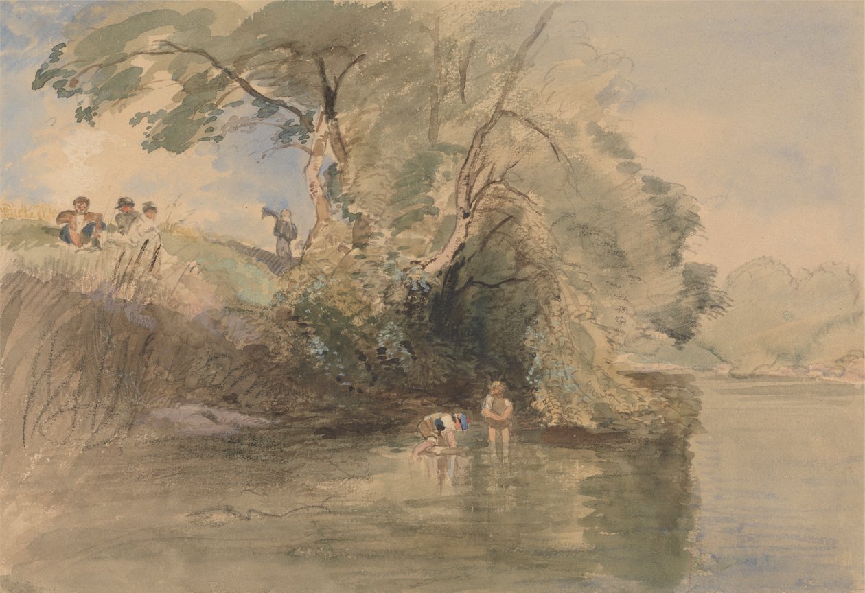wiosłowanie autorstwa William Collins