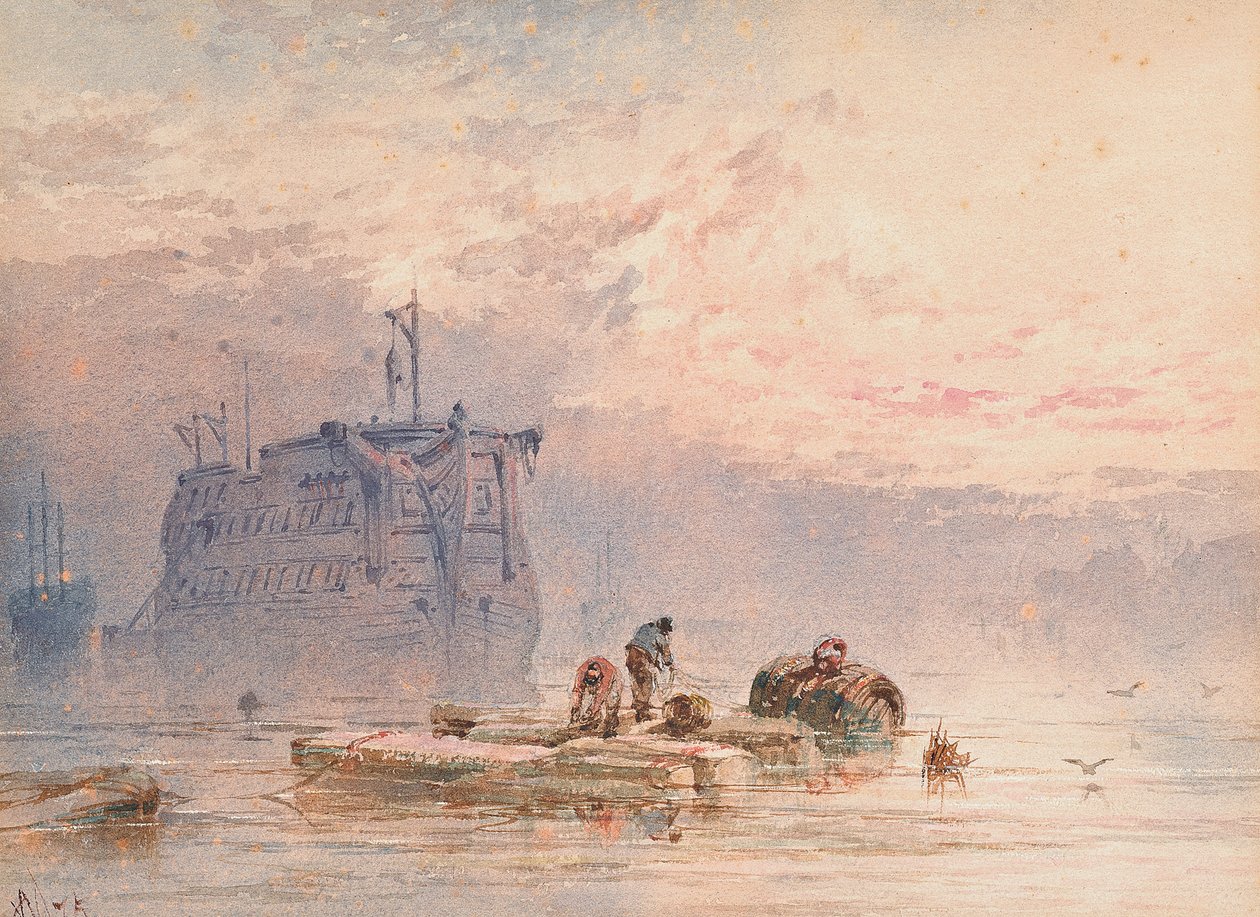 Hulki na kotwicy, 1875 autorstwa William Cook of Plymouth