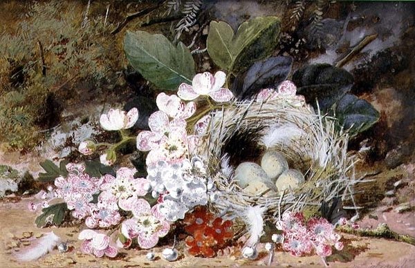 Martwa natura z ptasiego gniazda z pierwiosnkami autorstwa William Cruikshank