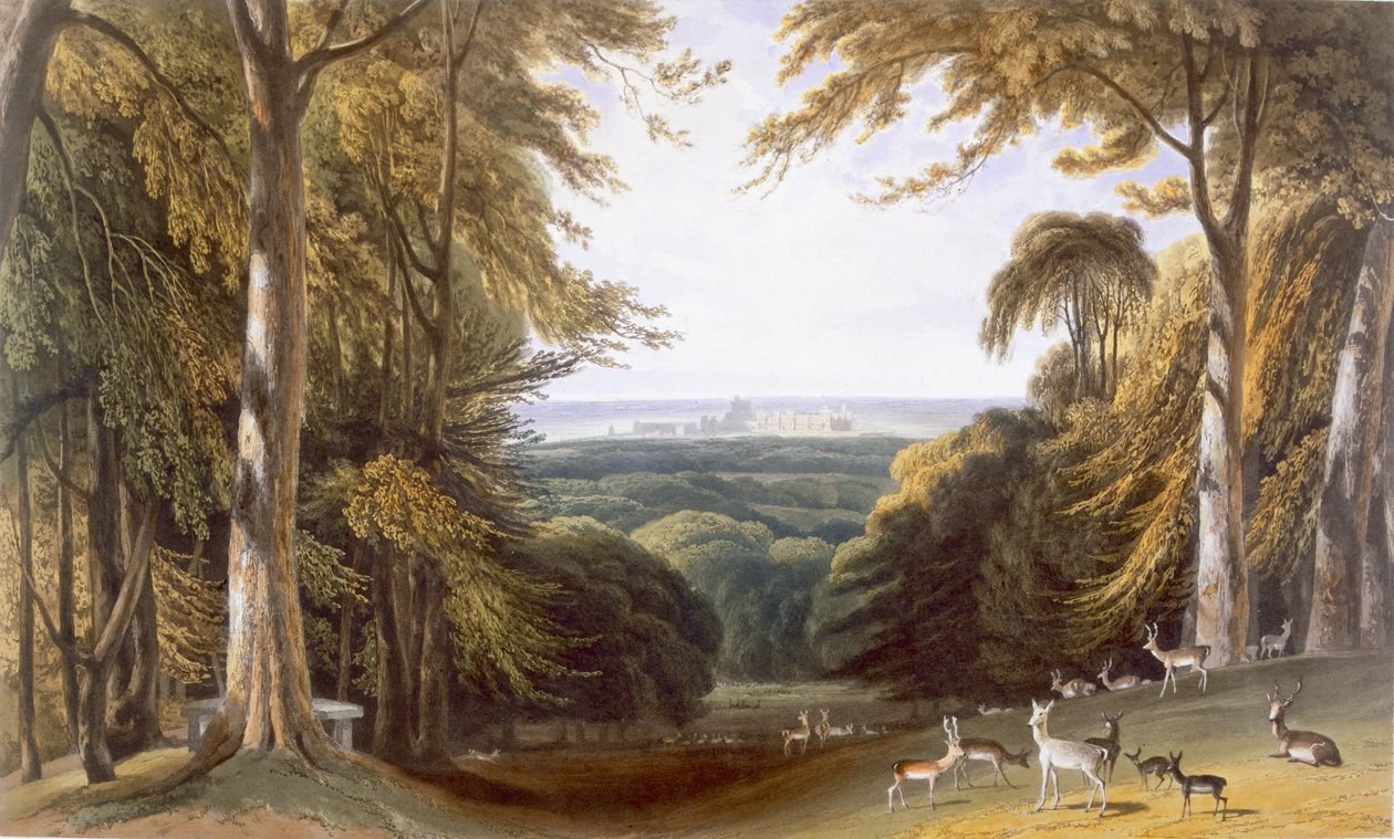 Glen w Windsor Park w pobliżu Bishops Gate, c1827-30. autorstwa William Daniell