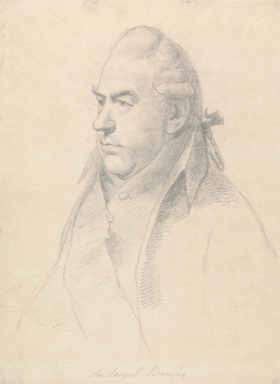 Sir Josepha Banksa autorstwa William Daniell